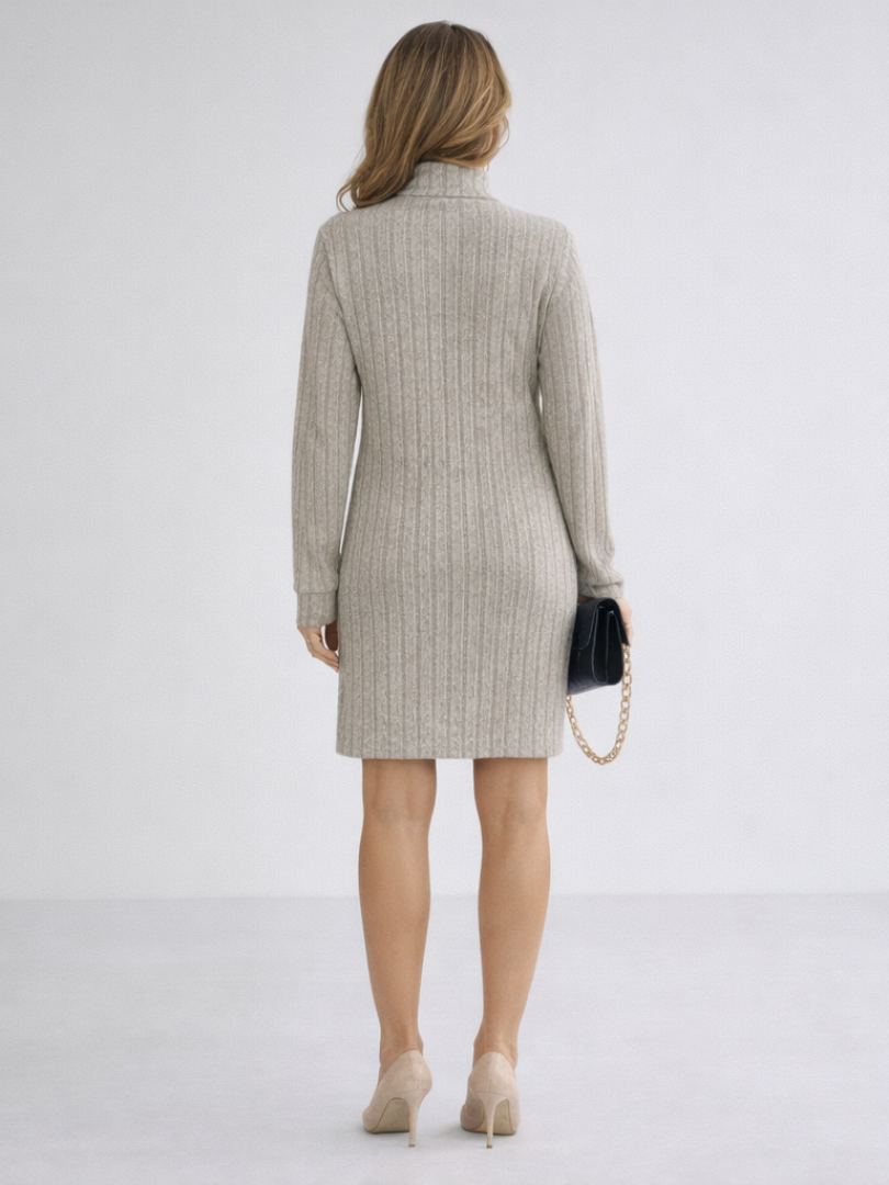 Blair | Women's High Neck Turtleneck Dress